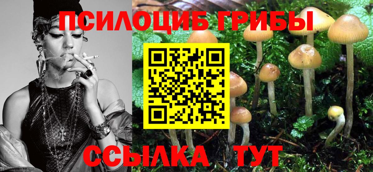 Псилоцибиновые грибы Cubensis Химки