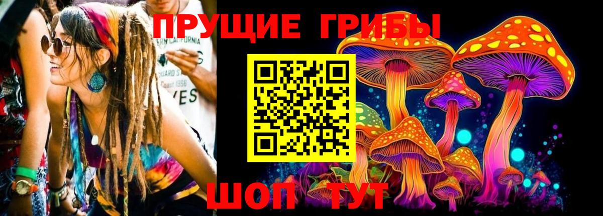 Химки  Псилоцибиновые грибы Psilocybine cubensis  магазин    Вход с VPN 